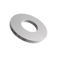 Standard Washer