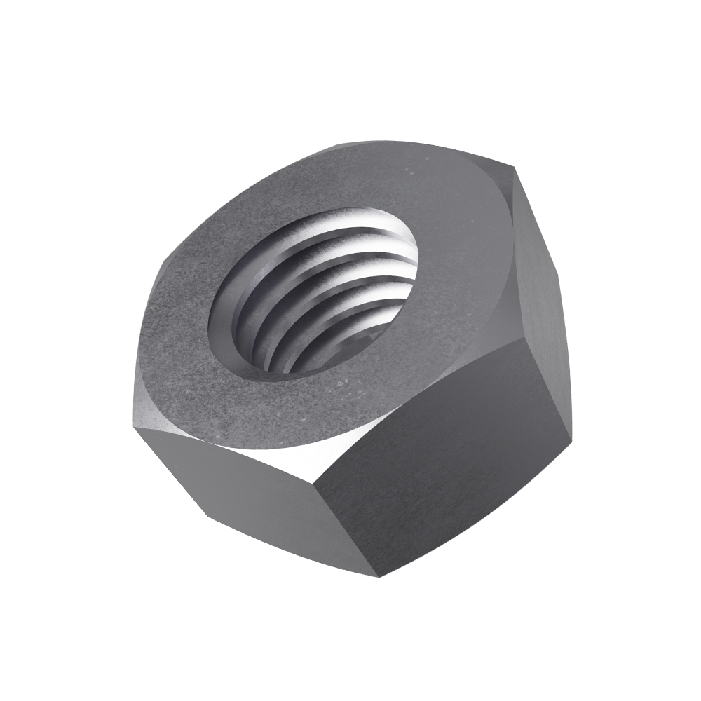 Standard Hex Nut